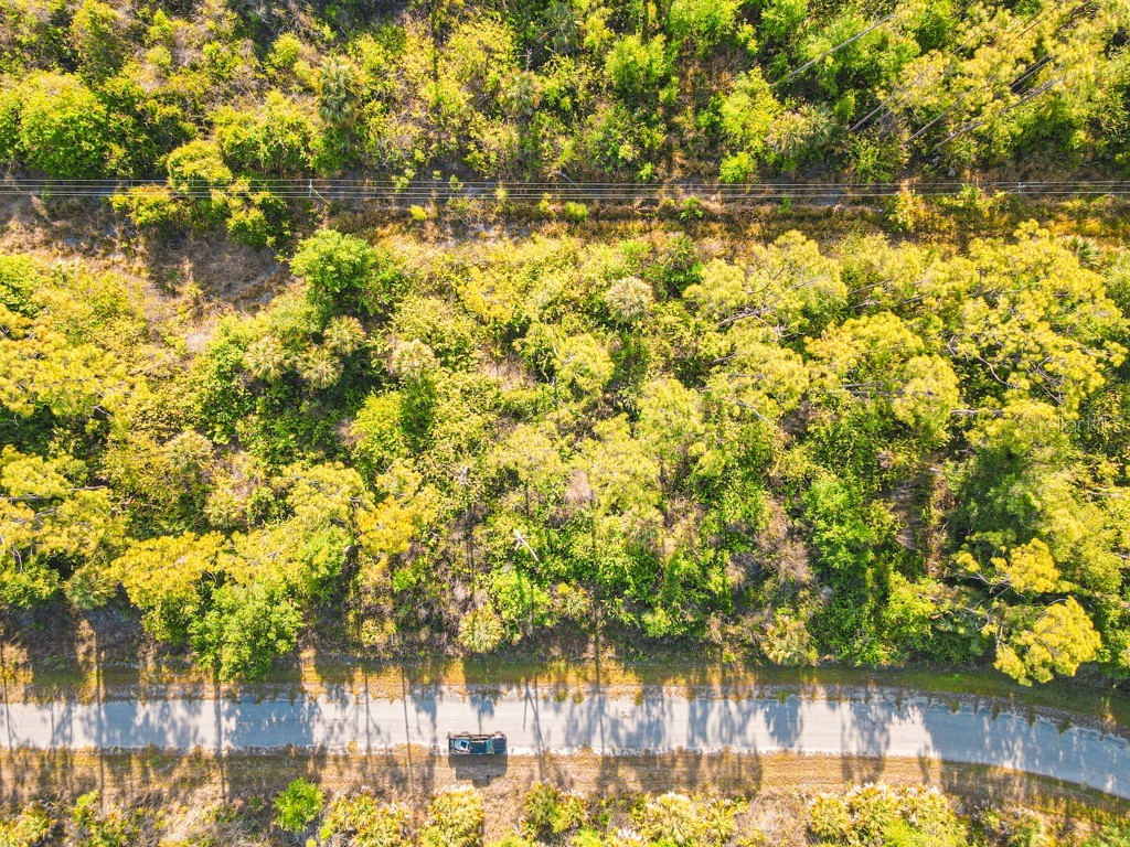 Blueleaf Drive North Port FL 34288 C7524976 image11