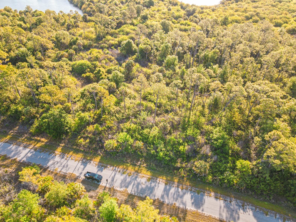 Blueleaf Drive North Port FL 34288 C7524976 image12