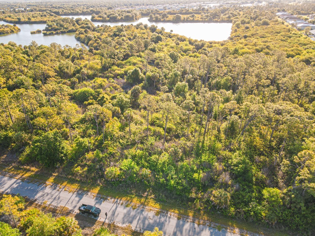 Blueleaf Drive North Port FL 34288 C7524976 image13