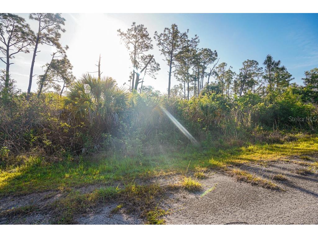 Blueleaf Drive North Port FL 34288 C7524976 image16