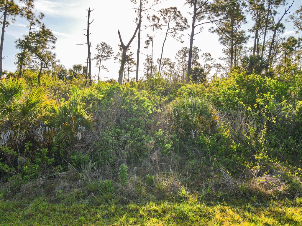 Blueleaf Drive North Port FL 34288 C7524976 image4