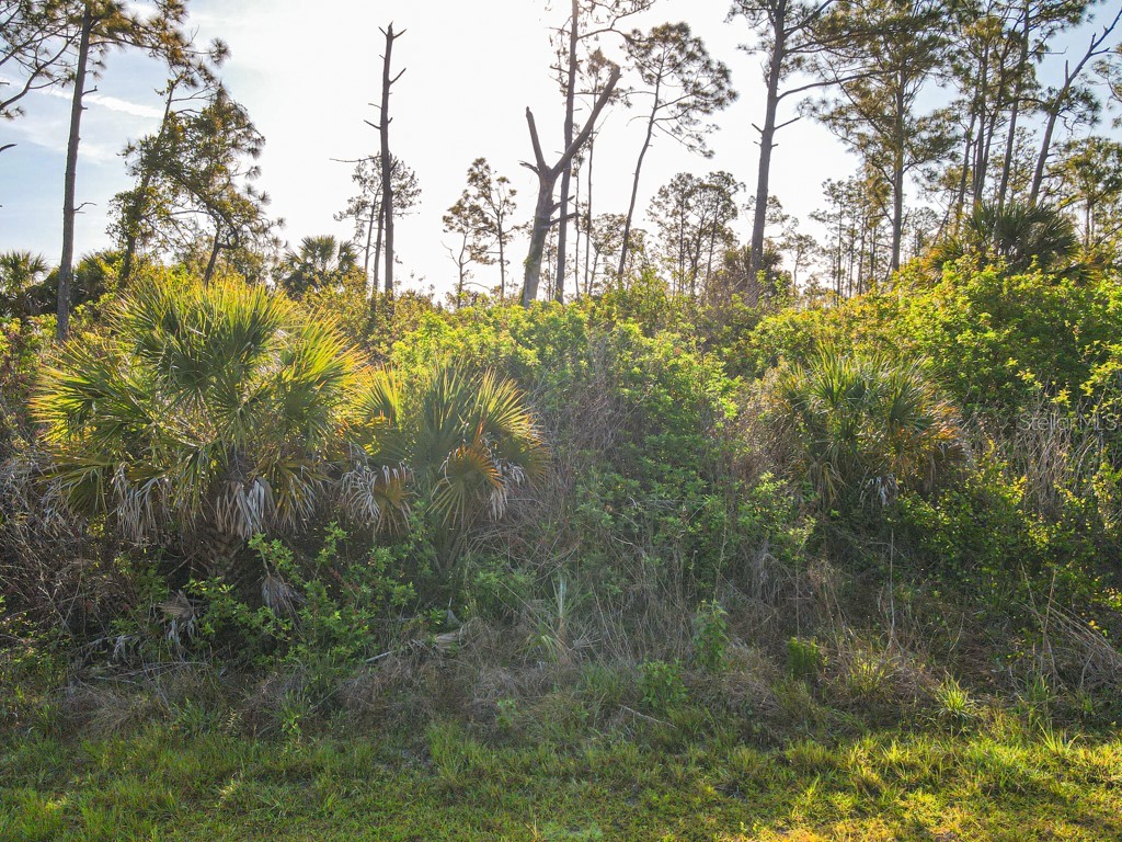 Blueleaf Drive North Port FL 34288 C7524976 image5