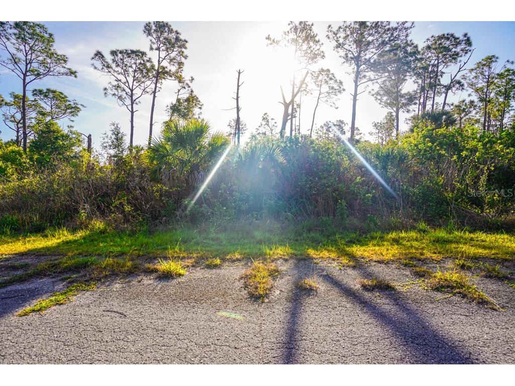 Blueleaf Drive North Port FL 34288 C7524976 image6