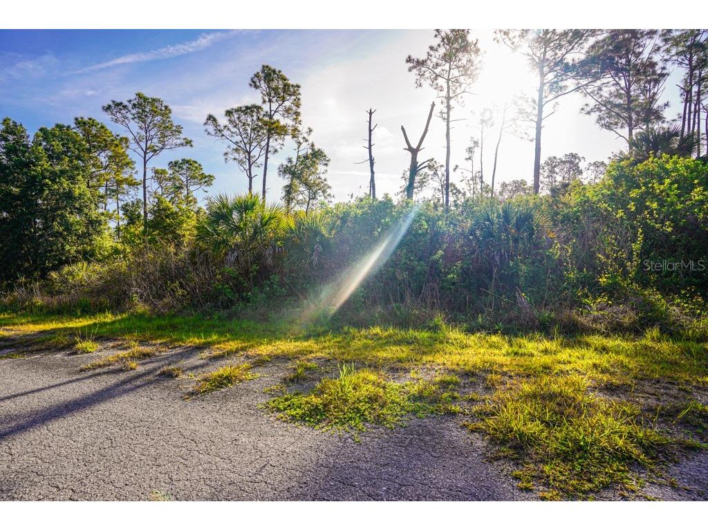 Blueleaf Drive North Port FL 34288 C7524976 image7