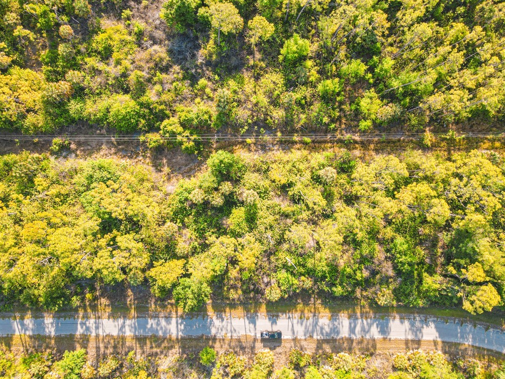 Blueleaf Drive North Port FL 34288 C7524976 image8