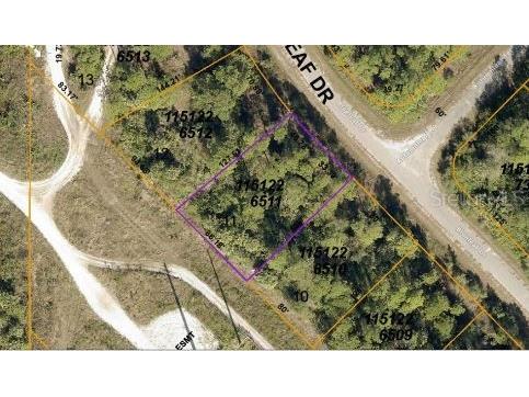 Blueleaf Drive North Port FL 34288 O6189410 image3