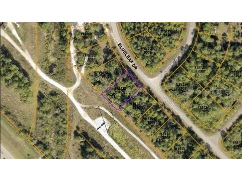 Blueleaf Drive North Port FL 34288 O6189410 image4