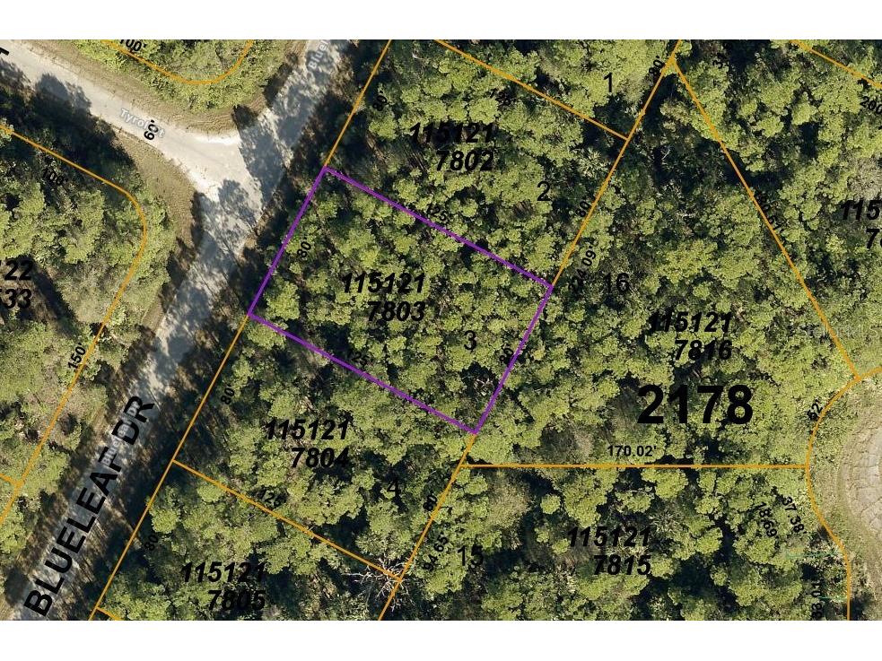 Blueleaf Lot 3 Drive North Port FL 34288 N6125174 image1