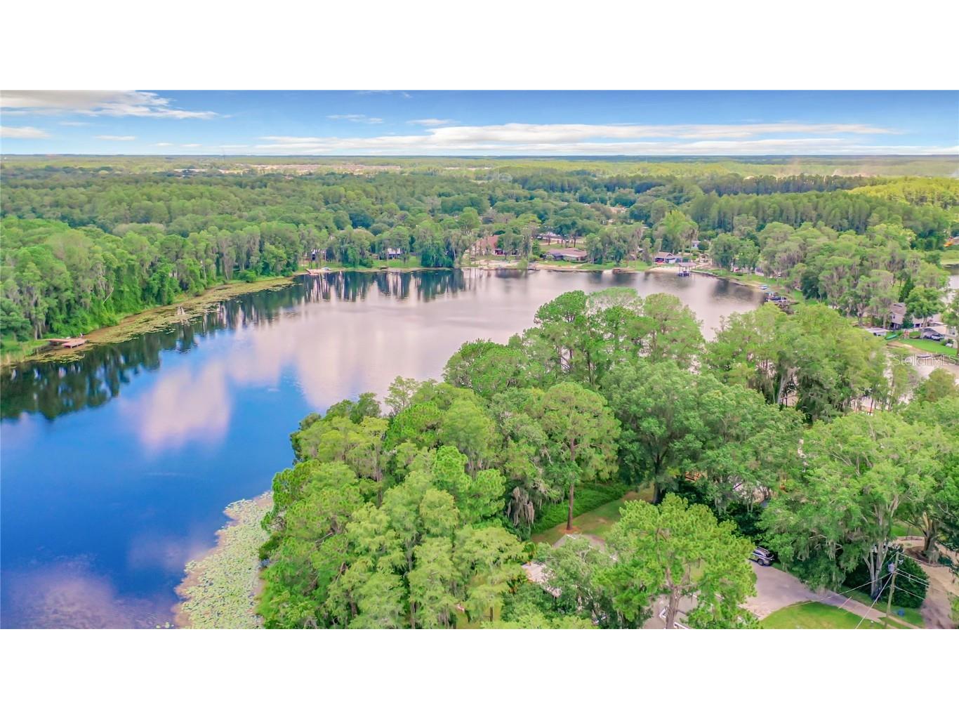 Bluestone Lane Odessa FL 33556 - LAKE MINEOLA TB8336137 image10