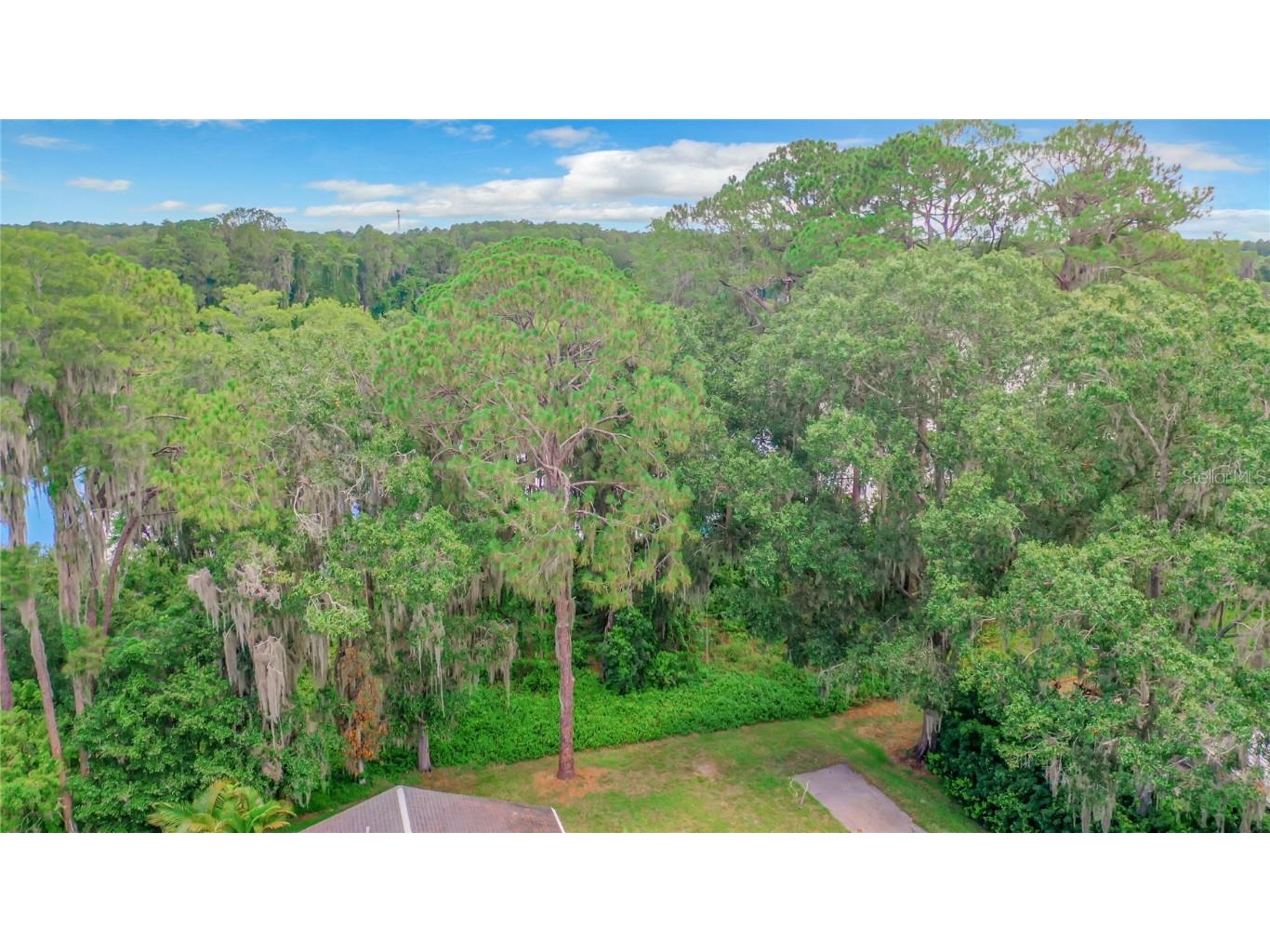 Bluestone Lane Odessa FL 33556 - LAKE MINEOLA TB8336137 image13