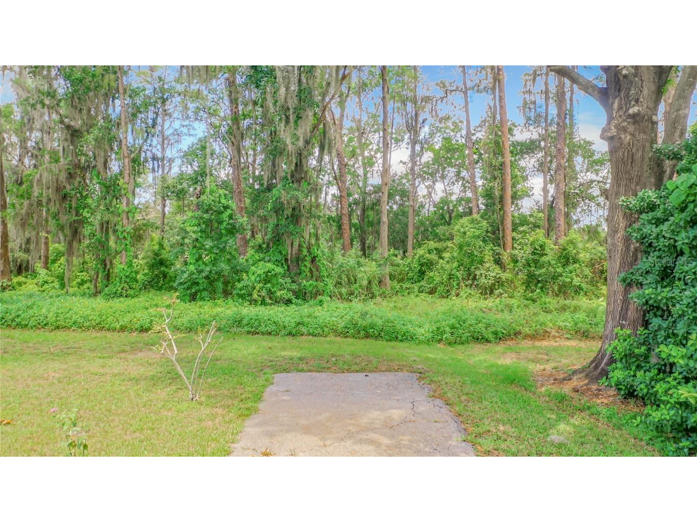 Bluestone Lane Odessa FL 33556 - LAKE MINEOLA TB8336137 image14