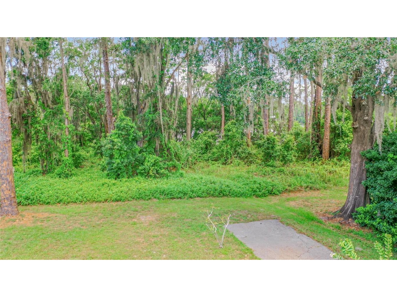 Bluestone Lane Odessa FL 33556 - LAKE MINEOLA TB8336137 image15