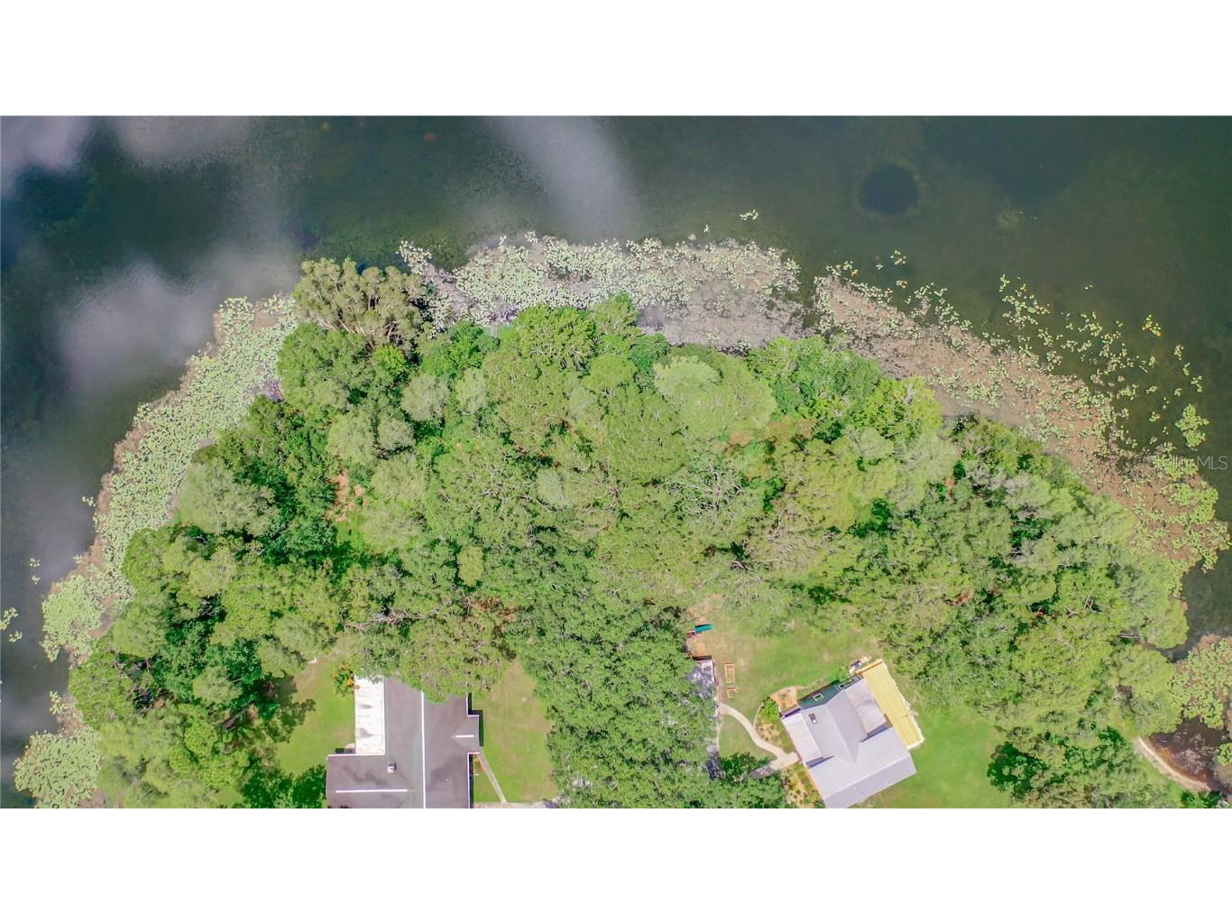 Bluestone Lane Odessa FL 33556 - LAKE MINEOLA TB8336137 image16