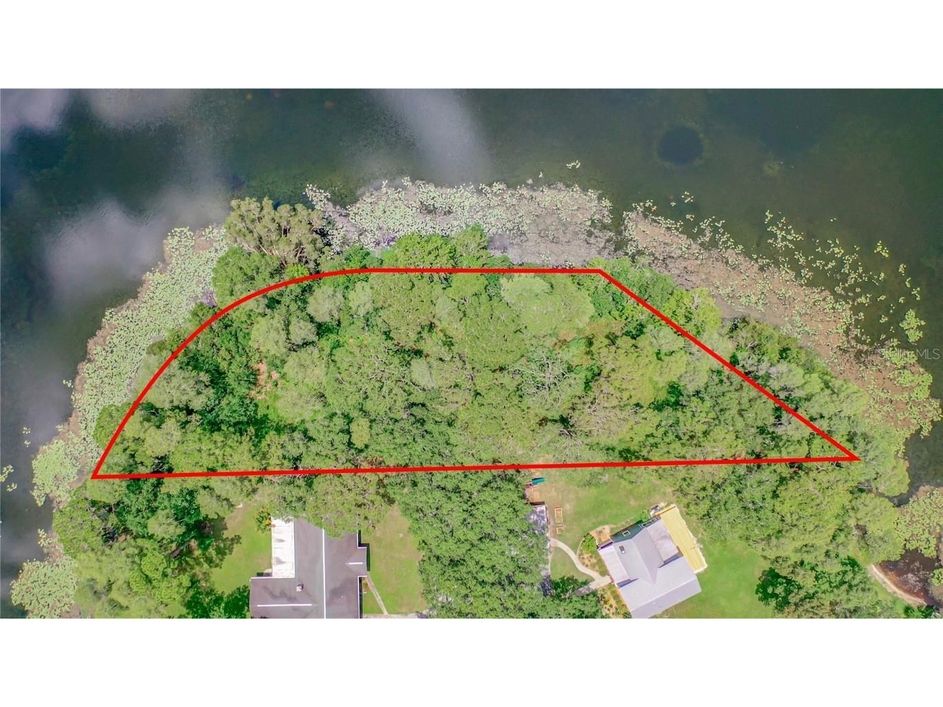 Bluestone Lane Odessa FL 33556 - LAKE MINEOLA TB8336137 image17