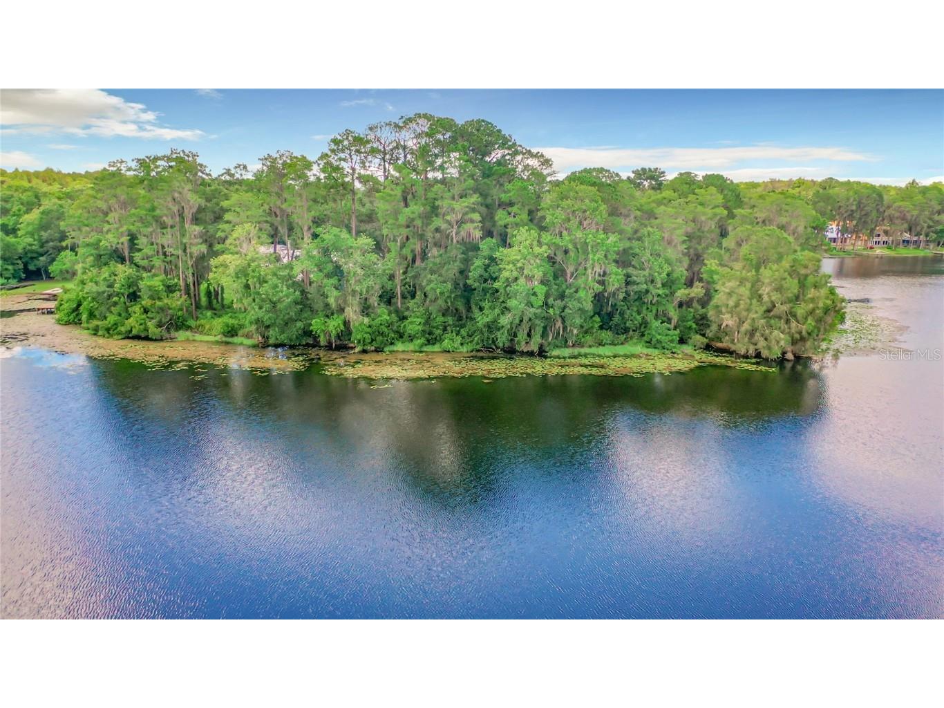 Bluestone Lane Odessa FL 33556 - LAKE MINEOLA TB8336137 image18