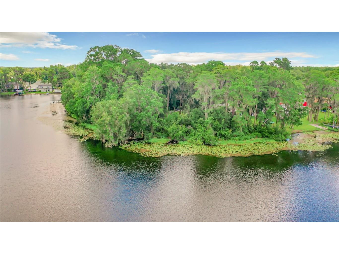 Bluestone Lane Odessa FL 33556 - LAKE MINEOLA TB8336137 image19