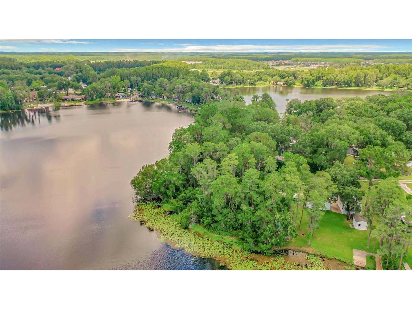 Bluestone Lane Odessa FL 33556 - LAKE MINEOLA TB8336137 image20