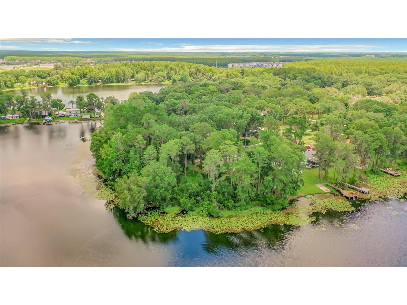 Bluestone Lane Odessa FL 33556 - LAKE MINEOLA TB8336137 image21