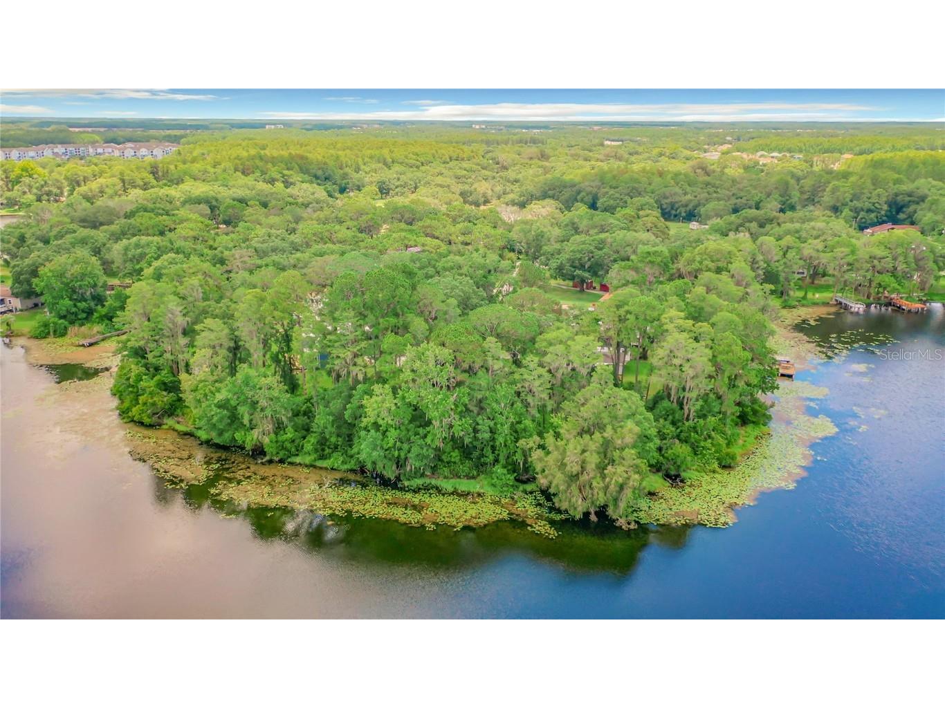 Bluestone Lane Odessa FL 33556 - LAKE MINEOLA TB8336137 image22