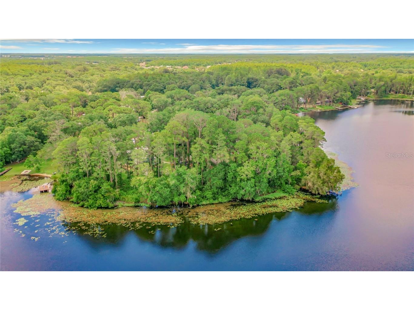 Bluestone Lane Odessa FL 33556 - LAKE MINEOLA TB8336137 image23