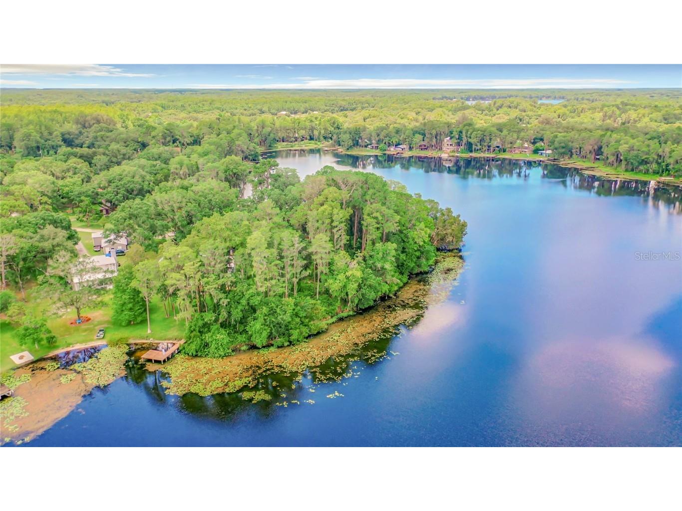 Bluestone Lane Odessa FL 33556 - LAKE MINEOLA TB8336137 image24