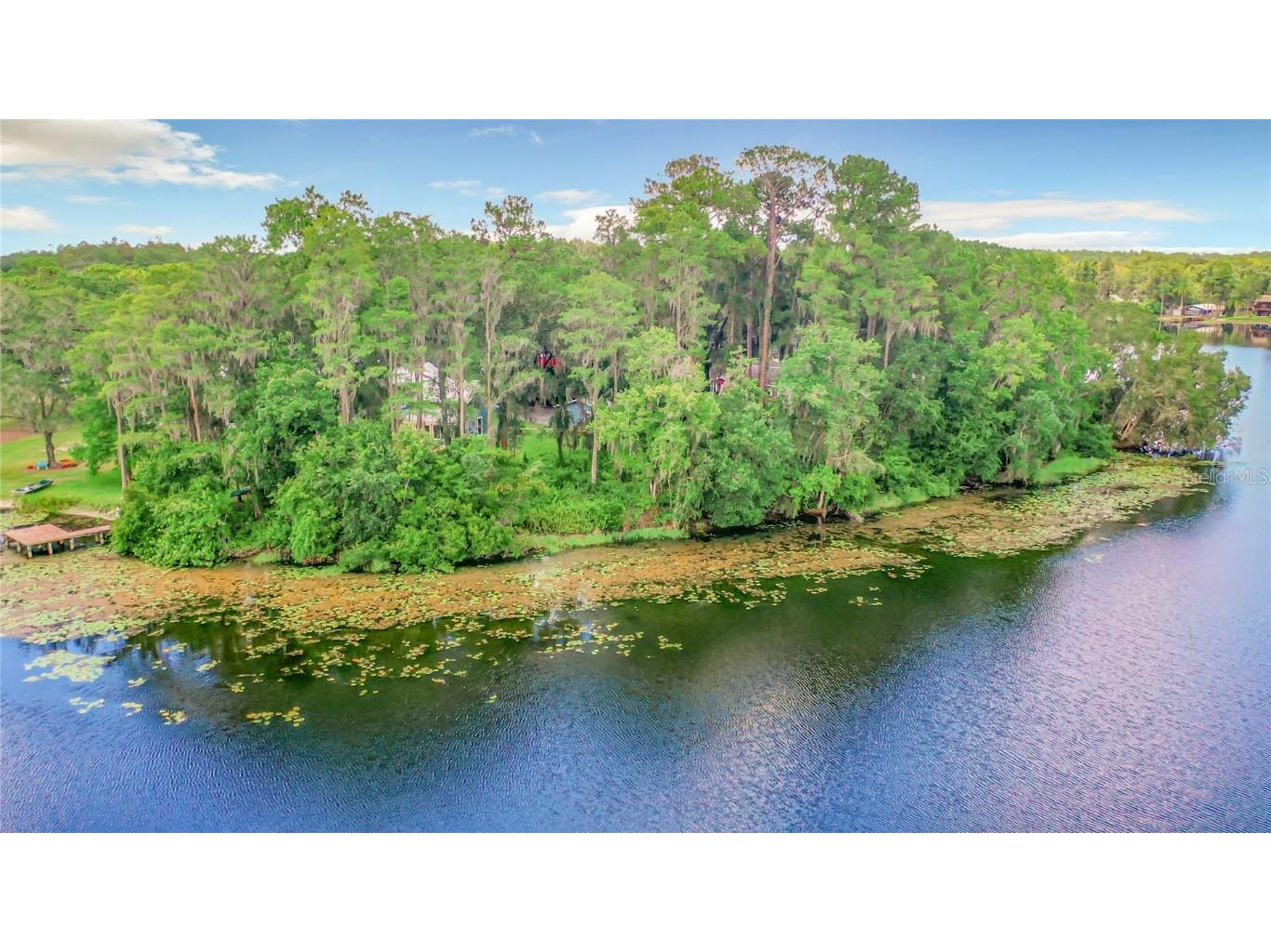 Bluestone Lane Odessa FL 33556 - LAKE MINEOLA TB8336137 image26