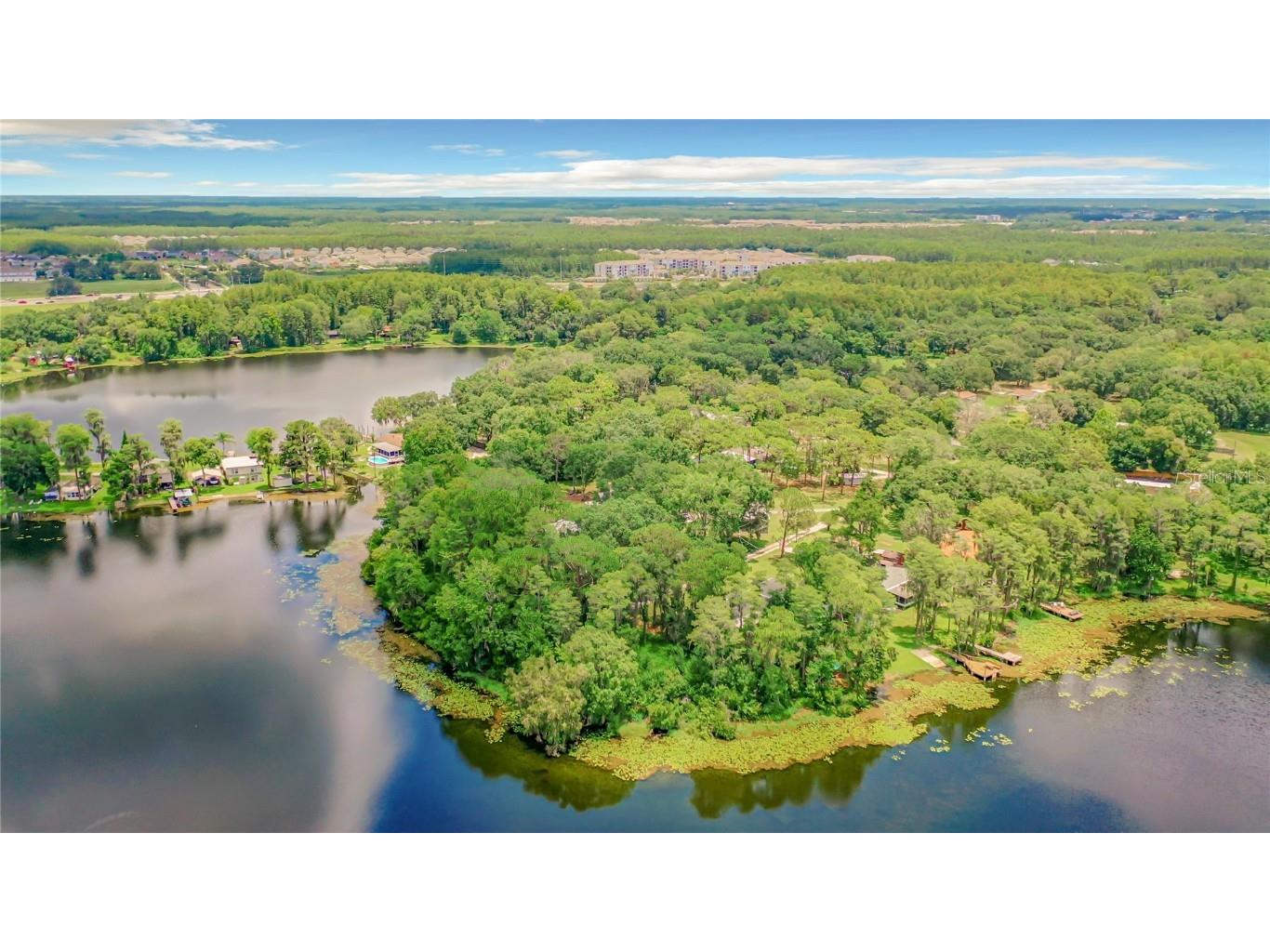 Bluestone Lane Odessa FL 33556 - LAKE MINEOLA TB8336137 image29