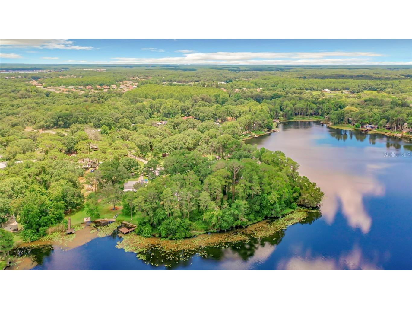 Bluestone Lane Odessa FL 33556 - LAKE MINEOLA TB8336137 image3