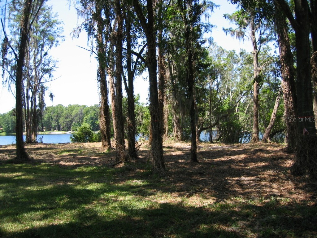 Bluestone Lane Odessa FL 33556 - LAKE MINEOLA TB8336137 image32