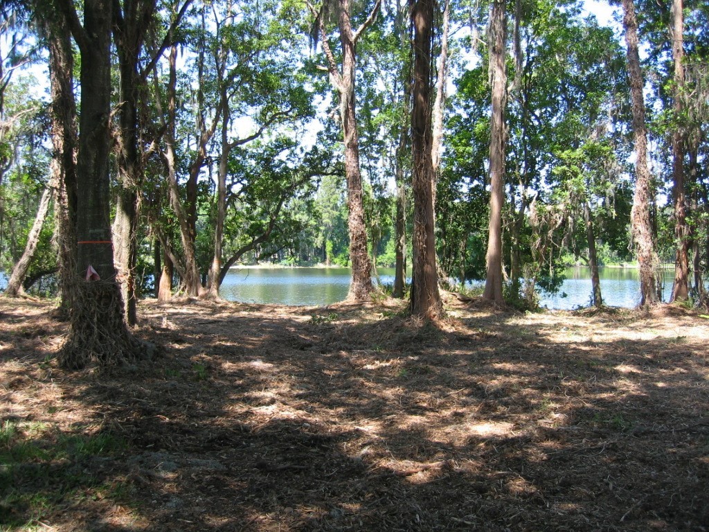 Bluestone Lane Odessa FL 33556 - LAKE MINEOLA TB8336137 image33