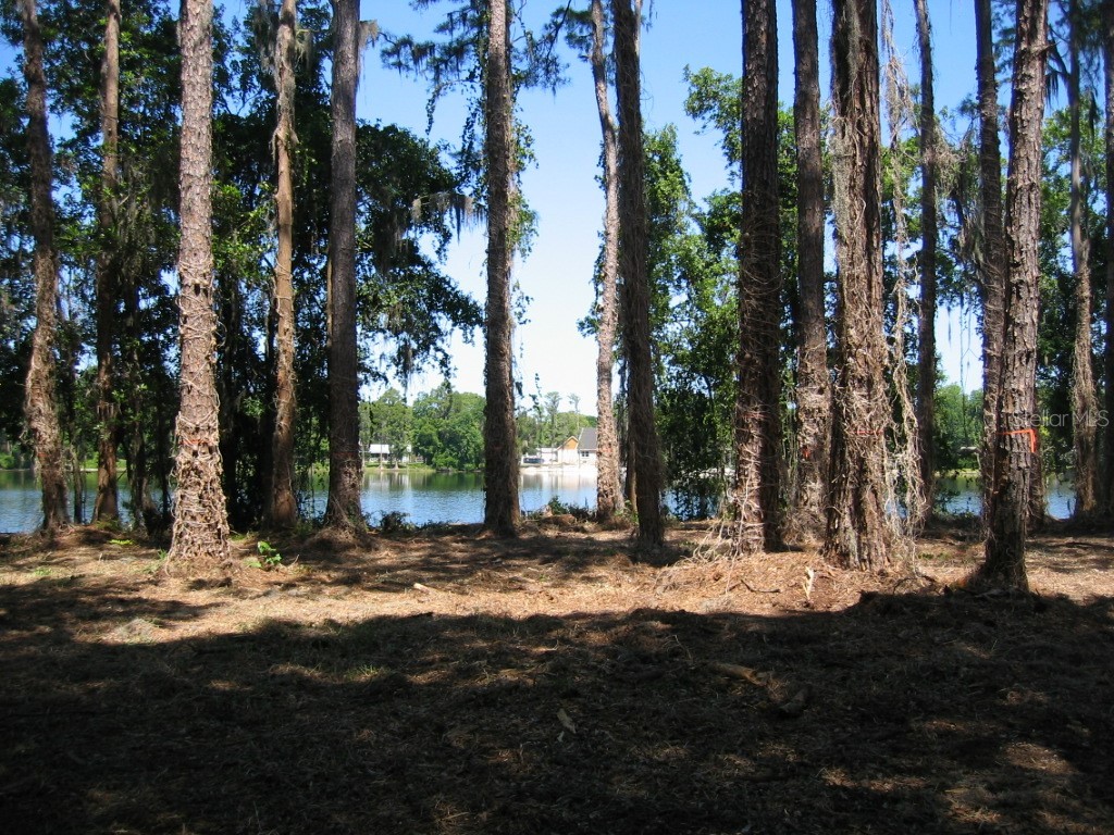 Bluestone Lane Odessa FL 33556 - LAKE MINEOLA TB8336137 image34