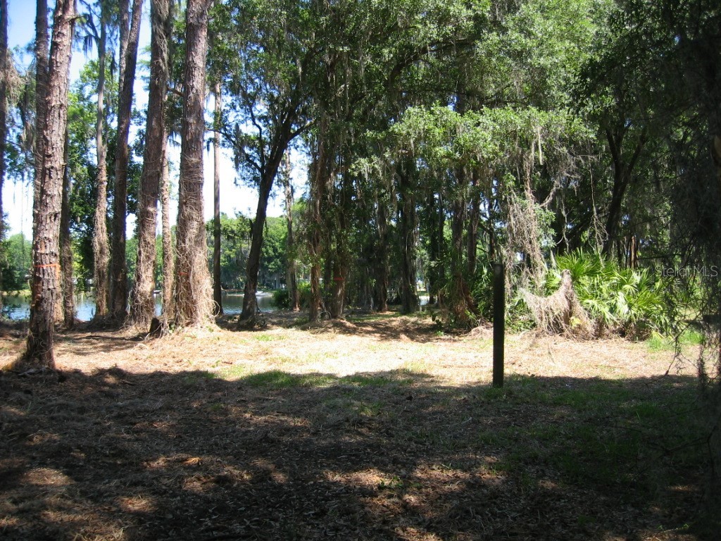 Bluestone Lane Odessa FL 33556 - LAKE MINEOLA TB8336137 image35