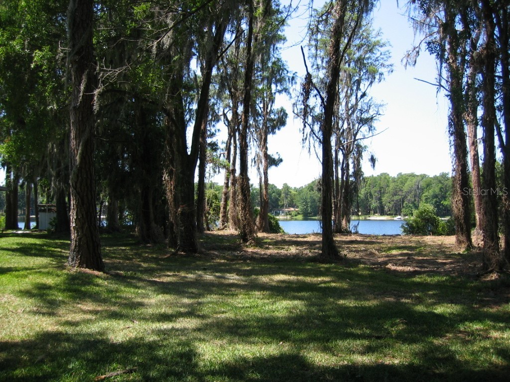 Bluestone Lane Odessa FL 33556 - LAKE MINEOLA TB8336137 image36