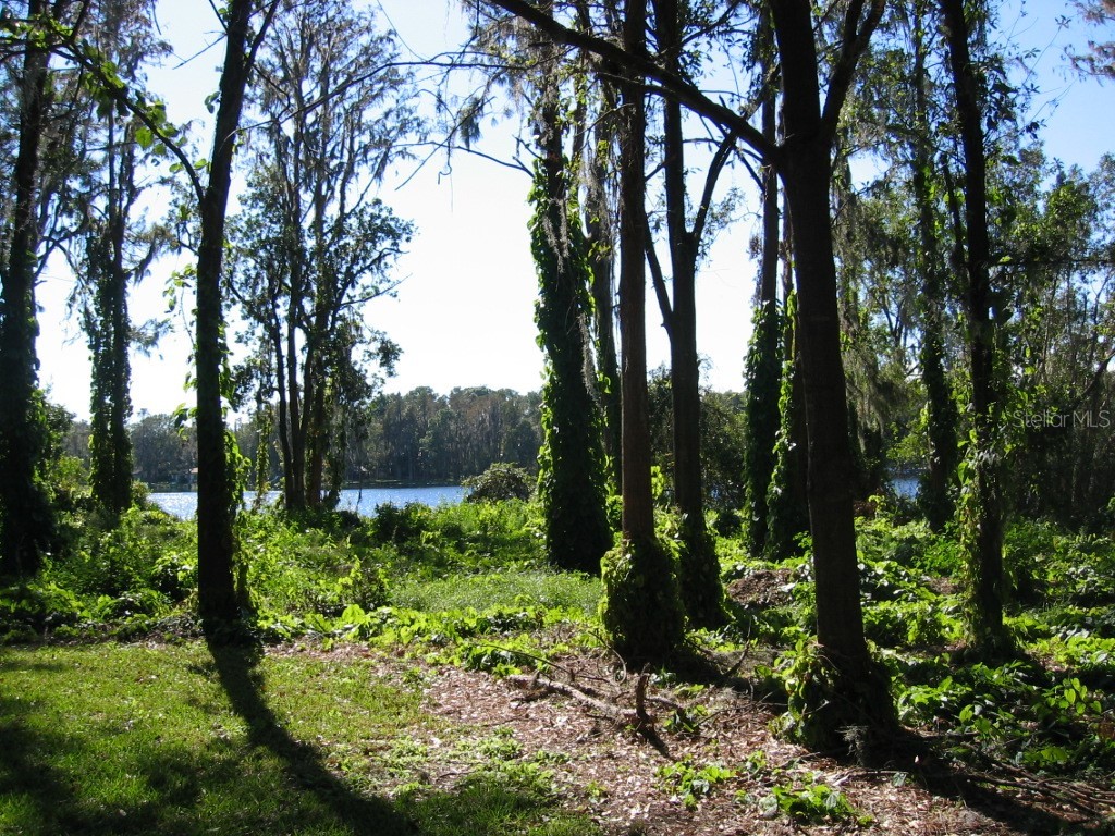 Bluestone Lane Odessa FL 33556 - LAKE MINEOLA TB8336137 image37