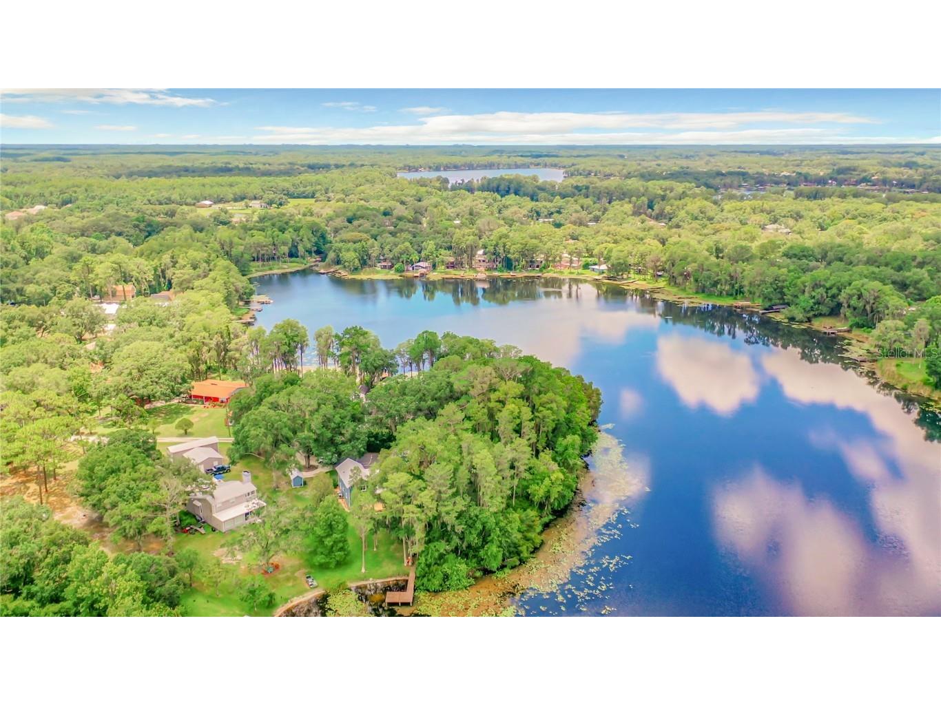 Bluestone Lane Odessa FL 33556 - LAKE MINEOLA TB8336137 image4
