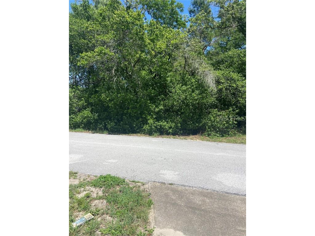 Bluffview Dr Spring Hill FL 34609 OM701540 image1