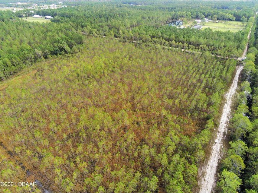 Boice Ormond Beach FL 32174 V4922647 image1