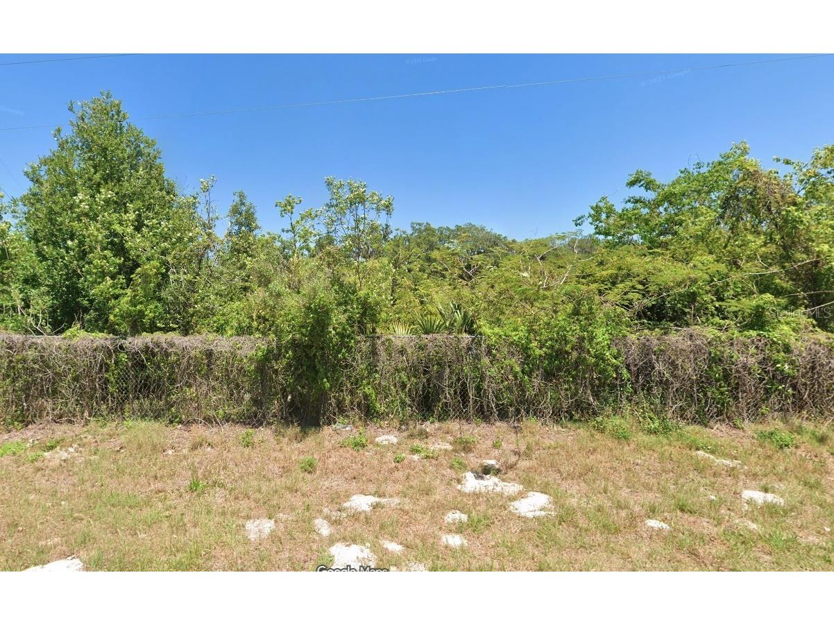 Boitnott Lane Bushnell FL 33513 W7882848 image2