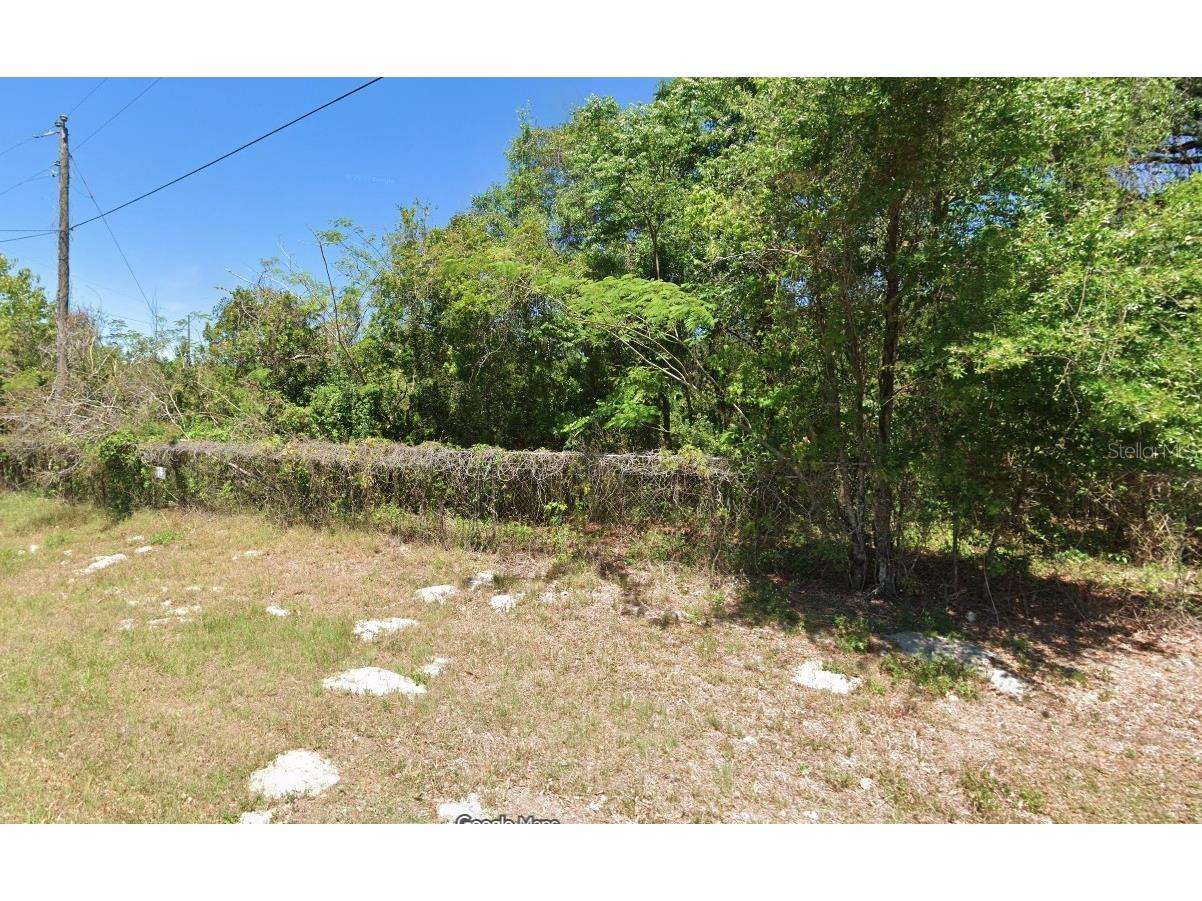 Boitnott Lane Bushnell FL 33513 W7882848 image4