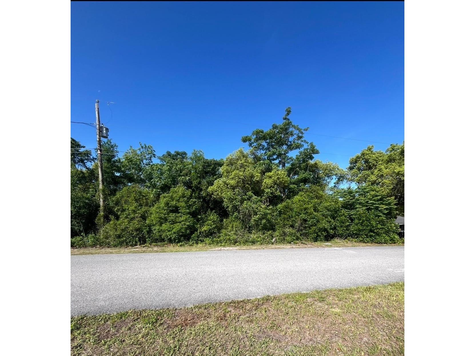 Bolger Avenue Spring Hill FL 34609 W7885199 image1