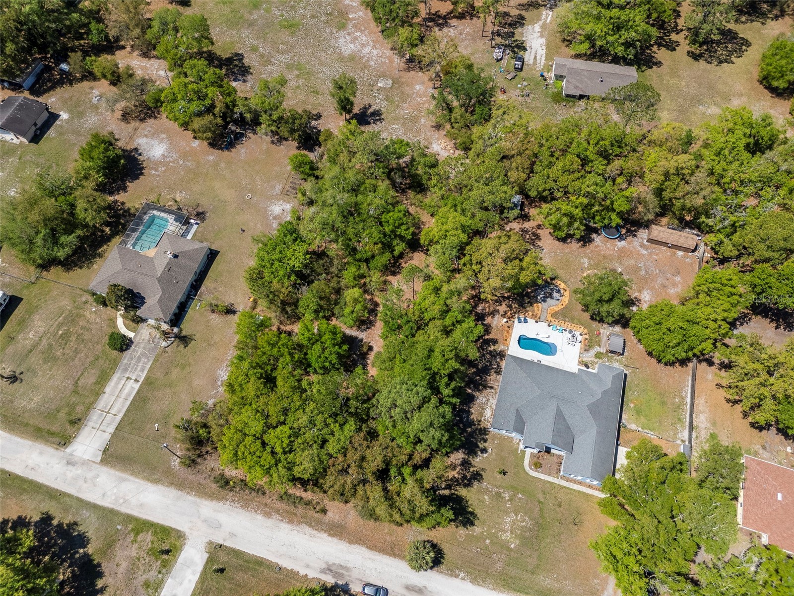 Bonnie Blue Drive Zephyrhills FL 33544 TB8488359 image3
