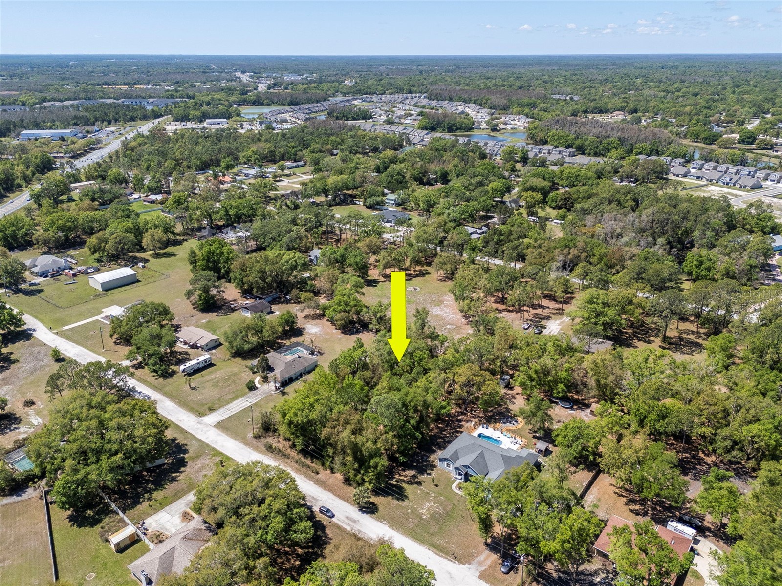 Bonnie Blue Drive Zephyrhills FL 33544 TB8488359 image6
