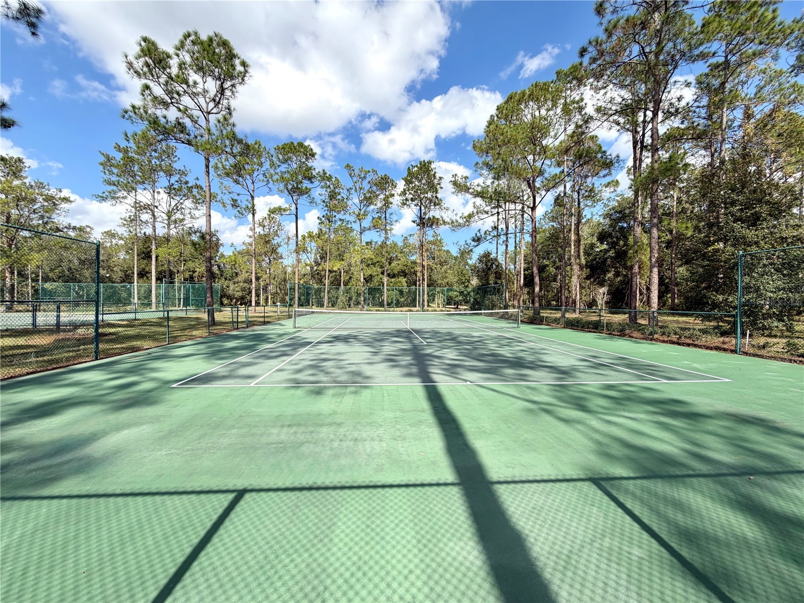 Bonsmara Drive Groveland FL 34736 G5102335 image10