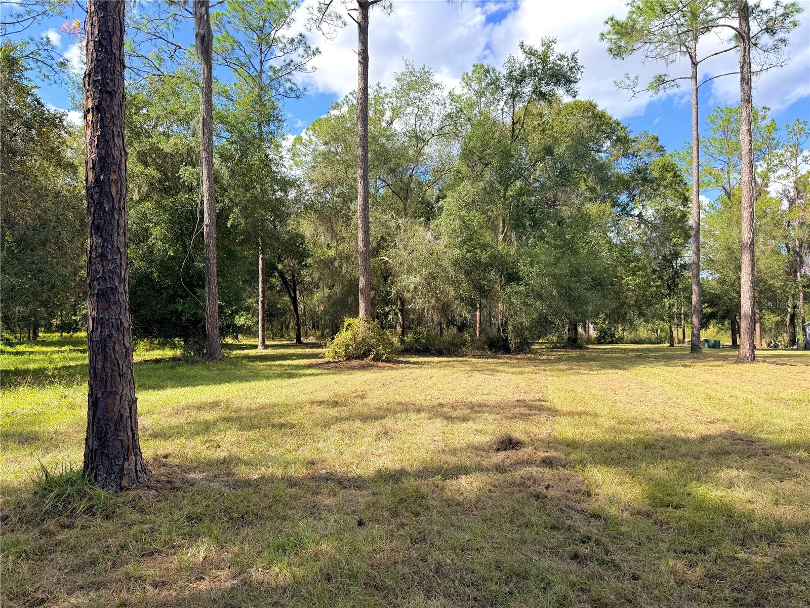 Bonsmara Drive Groveland FL 34736 G5102335 image2