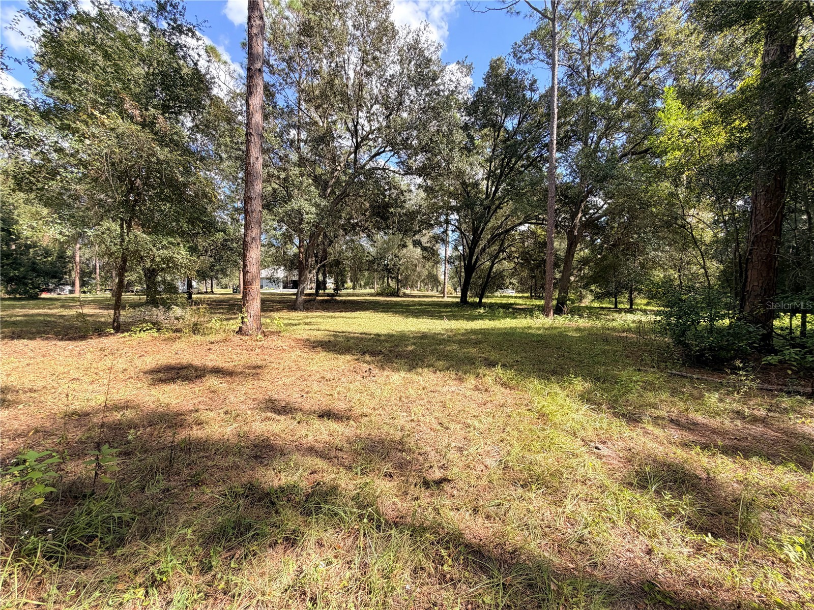 Bonsmara Drive Groveland FL 34736 G5102335 image4