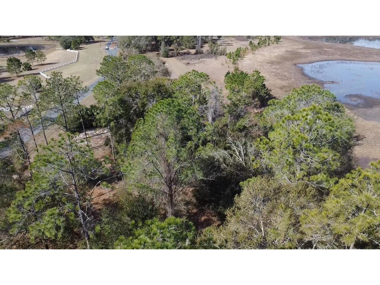 Bonsmara Drive Leesburg FL 34748 O6385105 image1