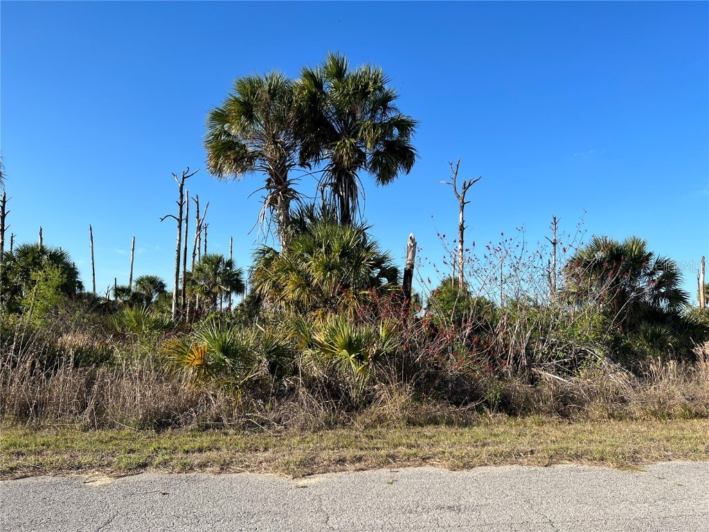 Boskoop Road North Port FL 34288 C7457596 image1