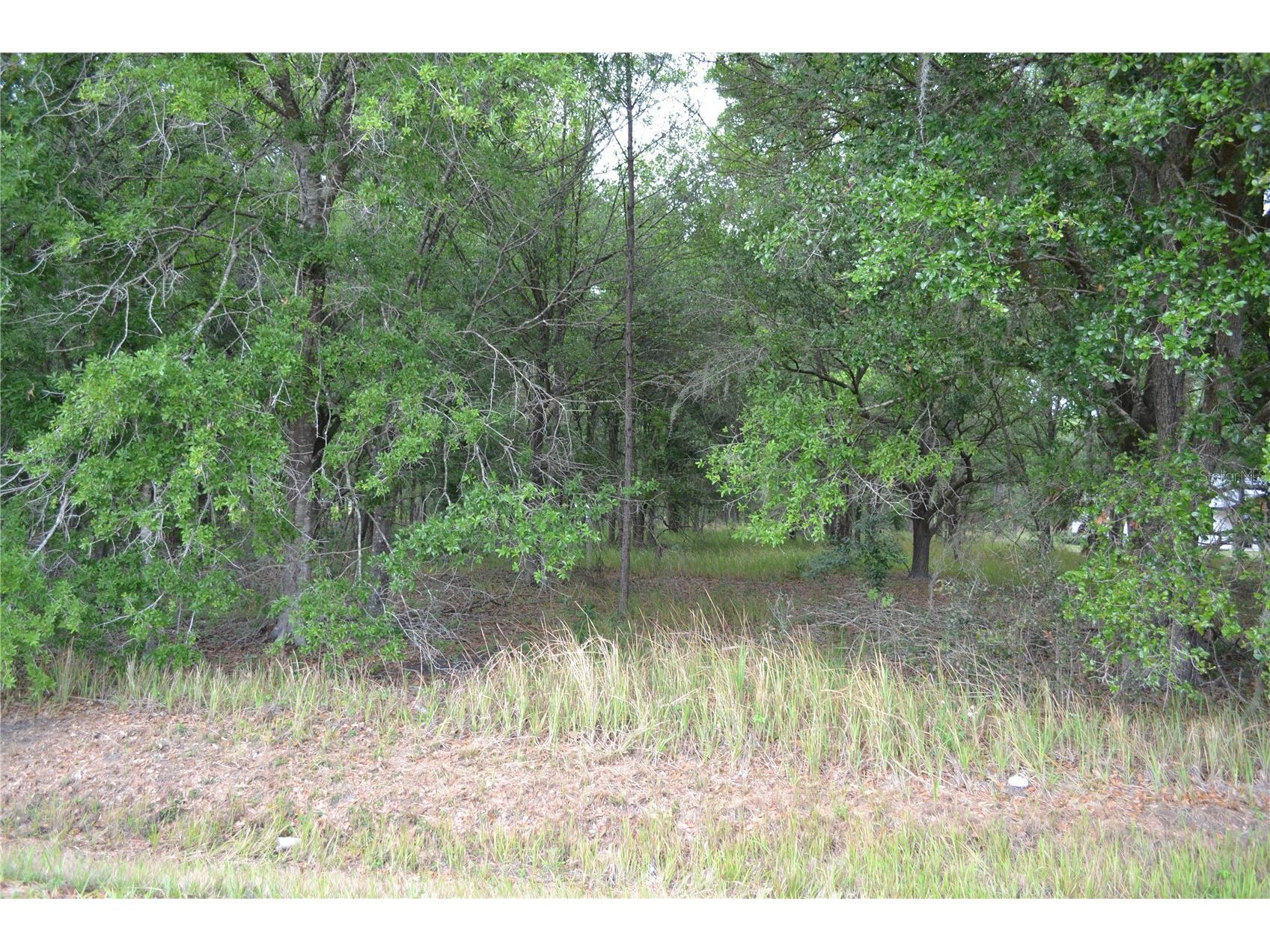 Bostick Road Bowling Green FL 33834 N6143859 image1