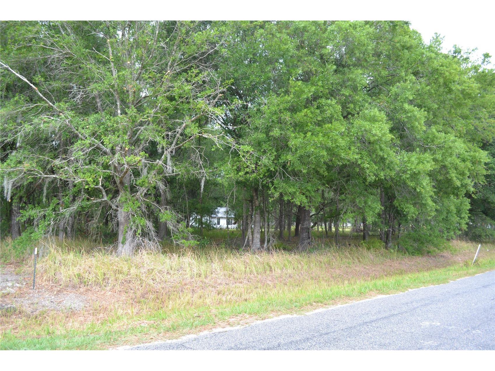 Bostick Road Bowling Green FL 33834 N6143859 image2