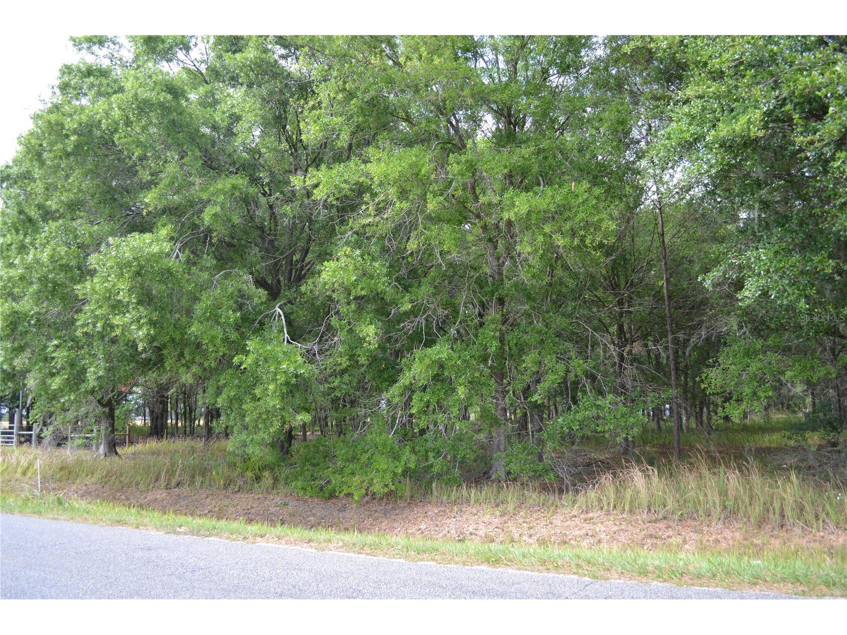 Bostick Road Bowling Green FL 33834 N6143859 image3